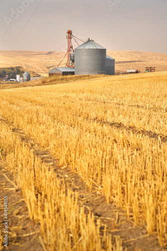 Grain Silos in Field vertical. A wheat field with grain silos for storage.

