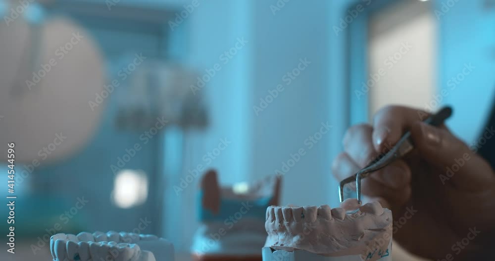 A few jaw models are standing on the table in a room in the dental clinic; a medical worker is sitting at the table and putting a tooth model on one of the jaws with dental tweezers. A few jaw models are standing on the table in a room in the dental clinic; a medical worker is sitting at the table and putting a tooth model on one of the jaws with dental tweezers.