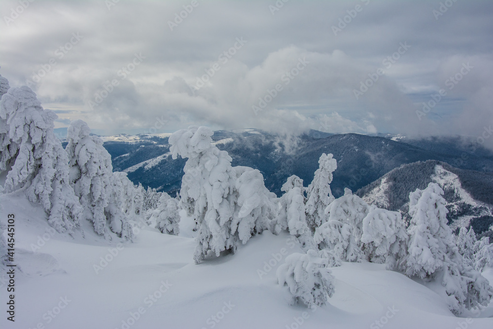 Obraz premium Panorama of the foggy winter landscape in the mountain