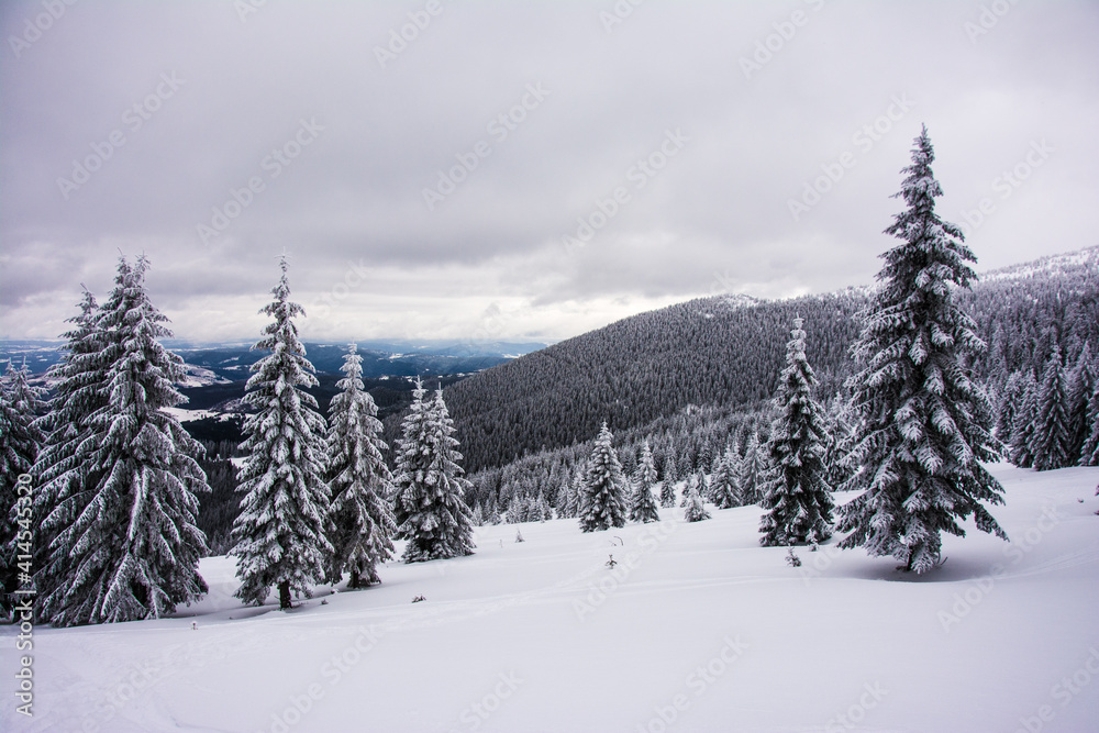 Panorama of the foggy winter landscape in the mountain