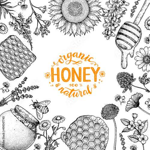 Honey hand drawn vector illustration. Honey frame. Healthy food illustration. Lettering Organic Honey 100% natural. Honeycomb, flowers, jar of honey sketch.