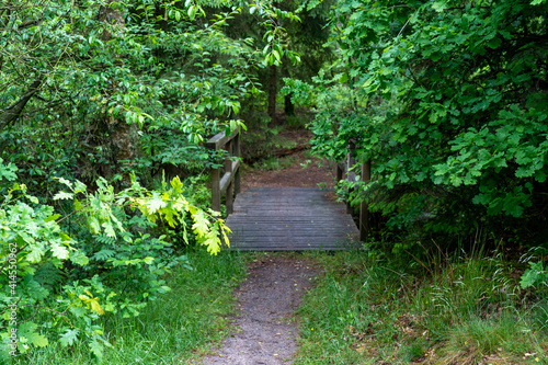 trail path in a forest in the nature preservation area of the lueneburger heide