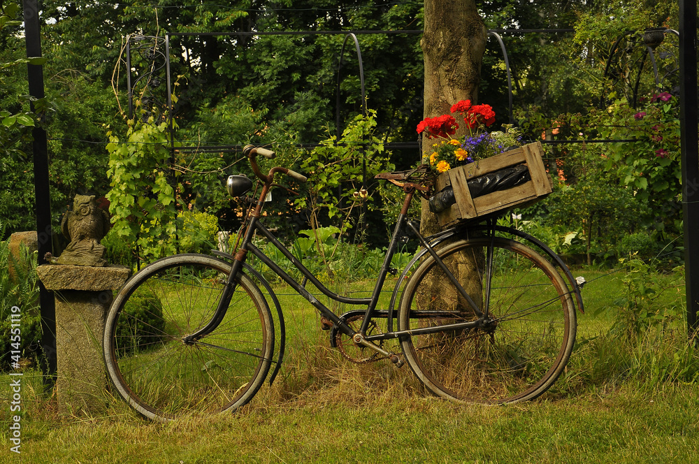 Fototapeta premium Bicycle in the garden