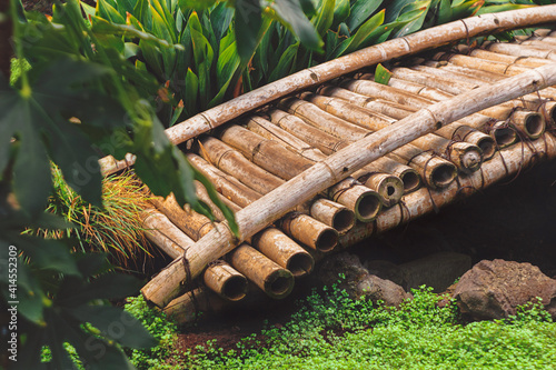 Puente de bambú en jardín japonés
