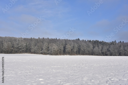 Winter time cold season snow and bare snow landscape. cold temperatures © kugelwolf