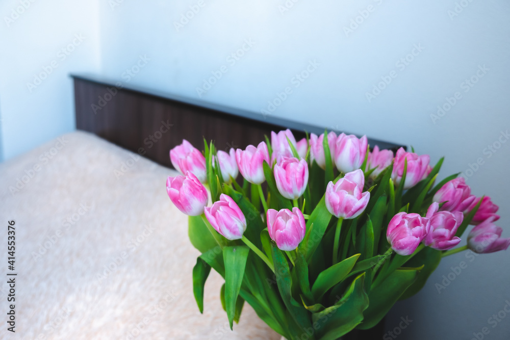 Fototapeta premium pink tulips on the background of the room