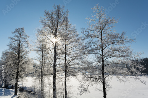 Winter Landscape With Sunshine