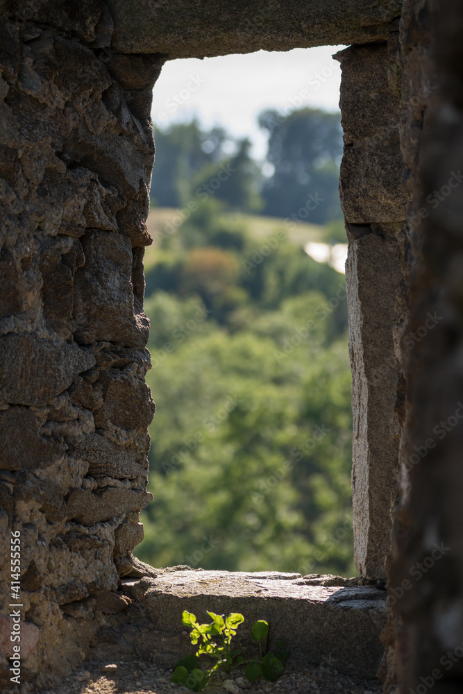 Looking Through A Castle Window