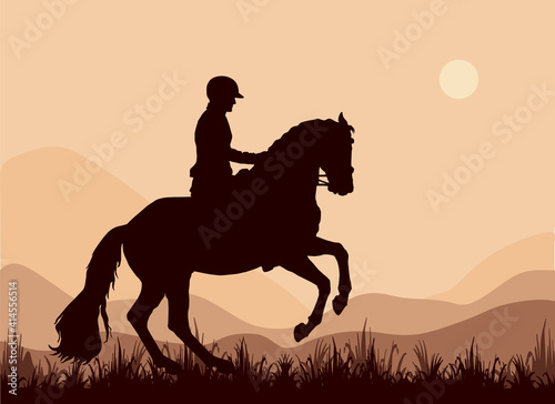 a rider gallops in a field  a dark silhouette against the sky 