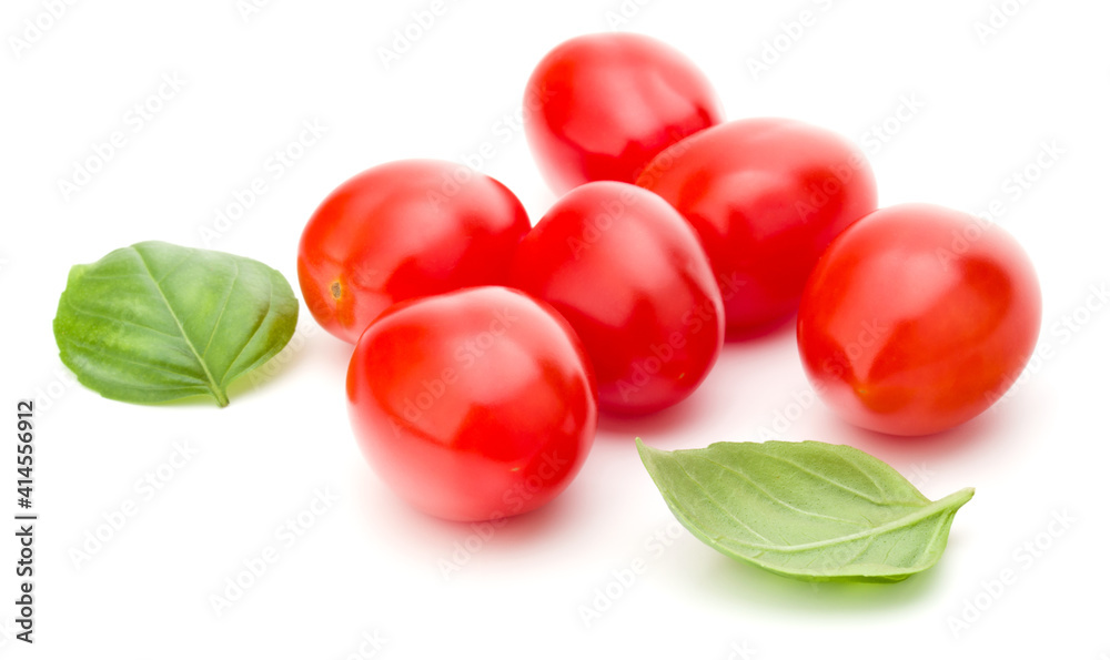 fresh plum tomato with basil leaf isolated on white background fresh plum tomato with basil leaf isolated on white background
