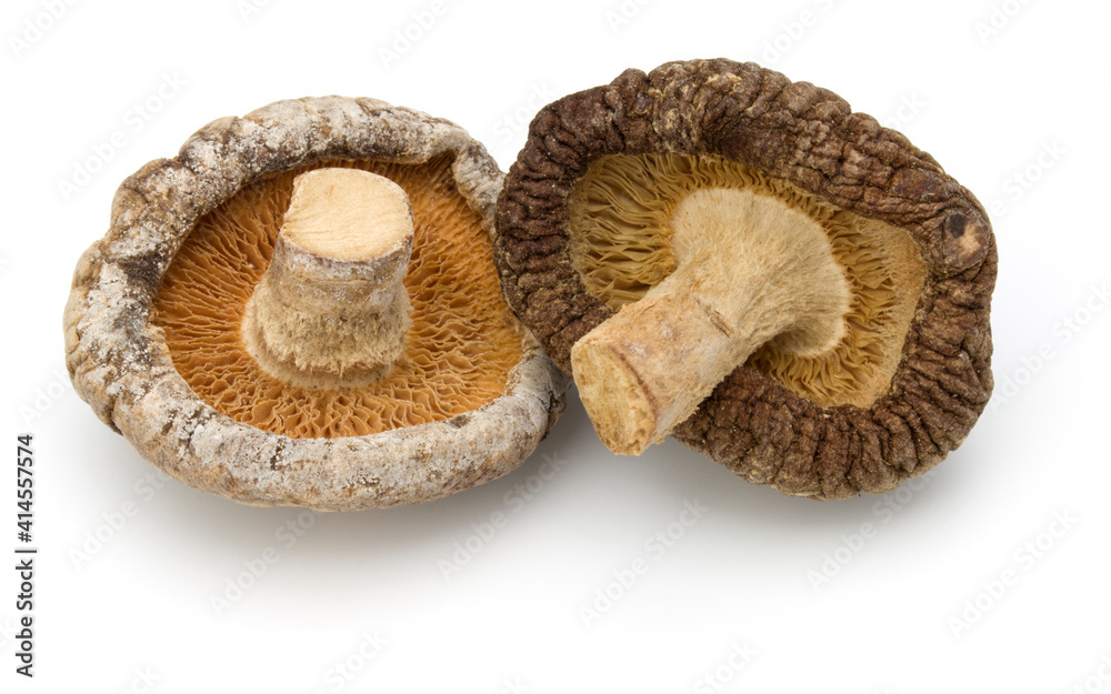 Dried Shiitake Mushroom isolated on white background Dried Shiitake Mushroom isolated on white background