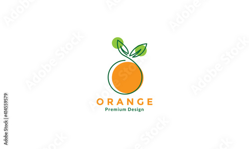 orange fruit line art colorful logo design vector icon symbol illustration