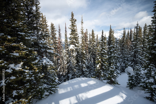 Beautiful landscape in Banff national park in Winter. Banff national park, Alberta, Canada
