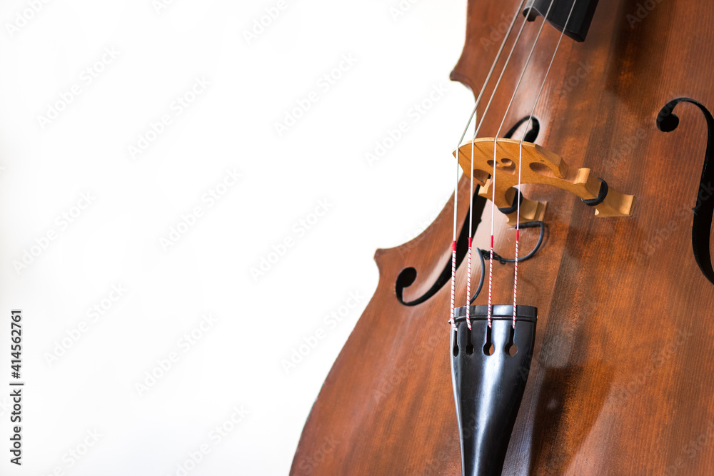Contrabass details. Wooden string instrument close up. White background Contrabass details. Wooden string instrument close up. White background