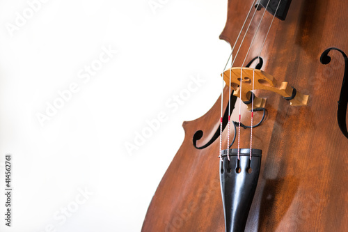 Contrabass details. Wooden string instrument close up. White background