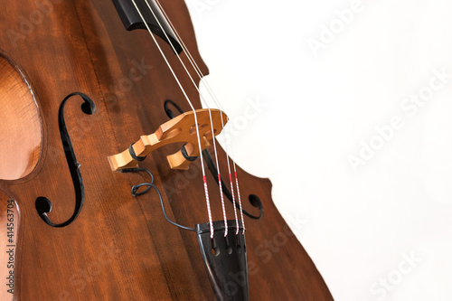Contrabass details. Wooden string instrument close up. White background