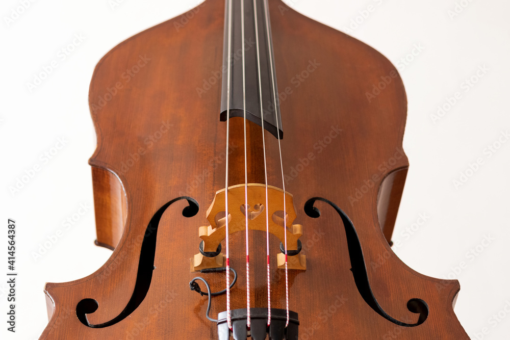 Contrabass details. Wooden string instrument close up. White background