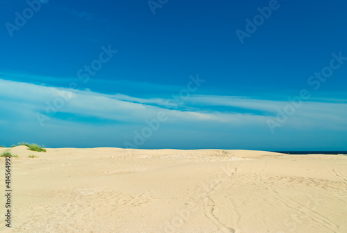 beach.in the photo  the sea shore against the blue sky