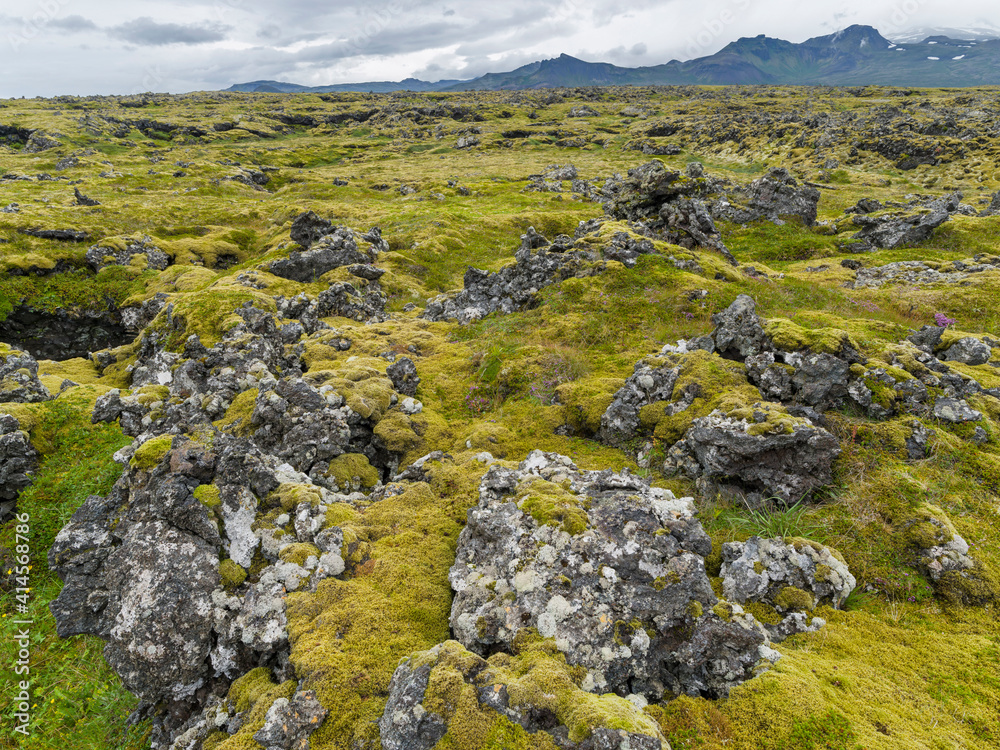 lava flow covered with moss, volcano Snaefellsjokull in the background. Landscape on peninsula Snaefellsnes in western Iceland. lava flow covered with moss, volcano Snaefellsjokull in the background. Landscape on peninsula Snaefellsnes in western Iceland.