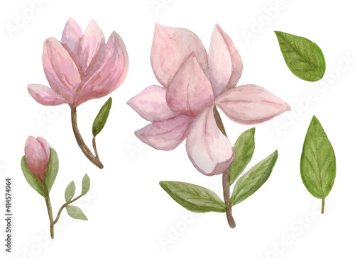 Set of cliparts with magnolia flowers. Elements are isolated on a white background. The illustration is drawn in watercolor by hand. Can be used to design postcards  invitations  illustrations.