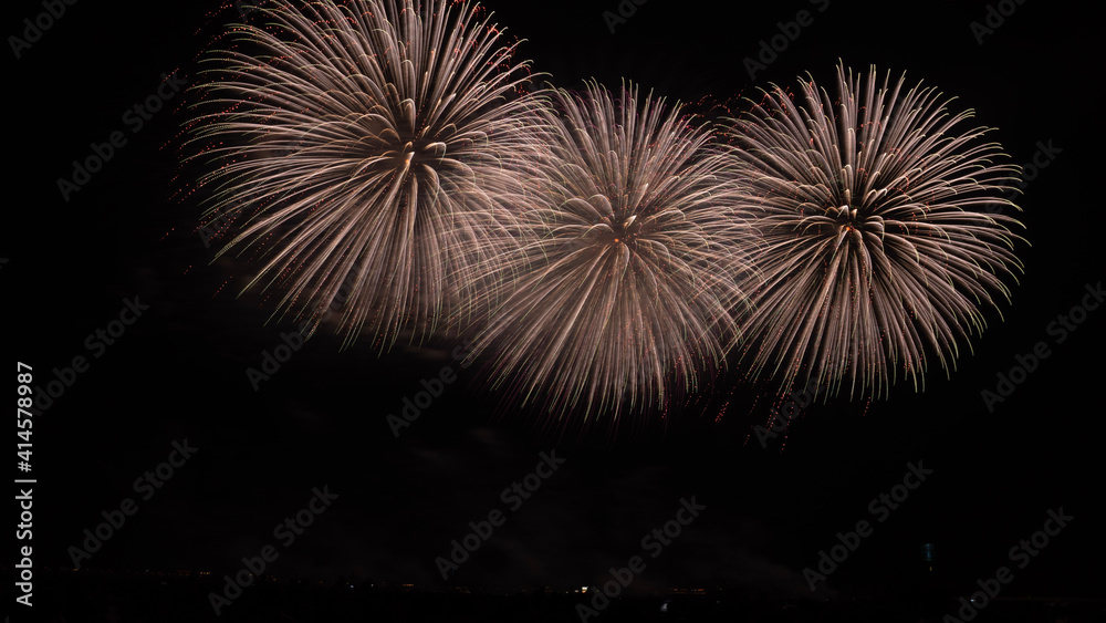 fireworks in the sky