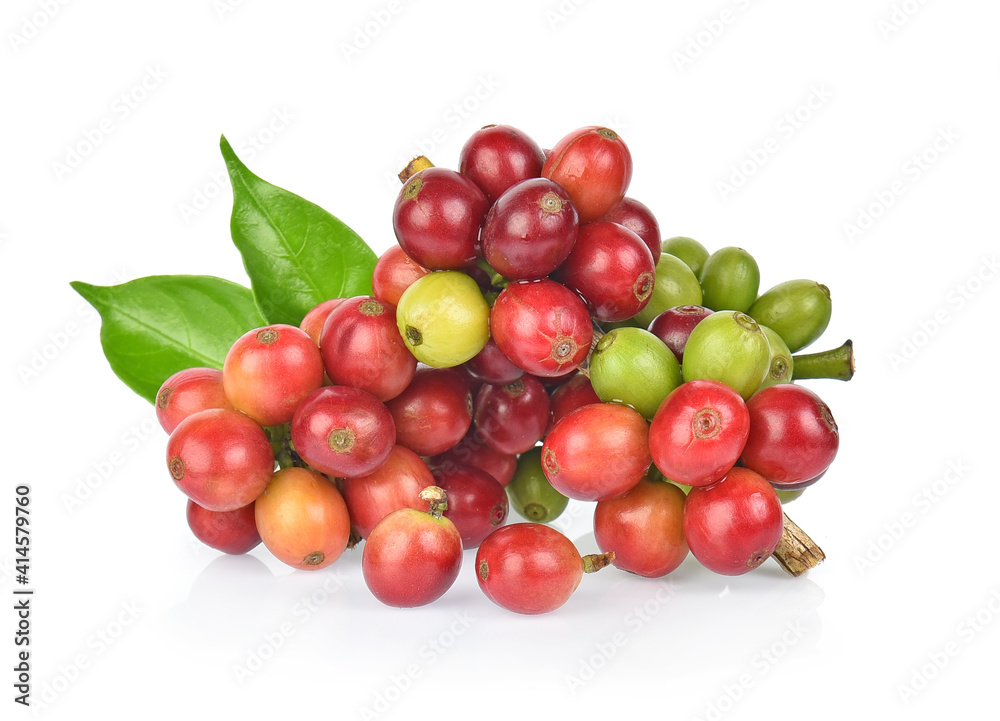 fresh coffee beans with leaf on white background fresh coffee beans with leaf on white background