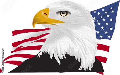 American bald eagle drawing with yellow beak and American flag back ground as a vector profile view