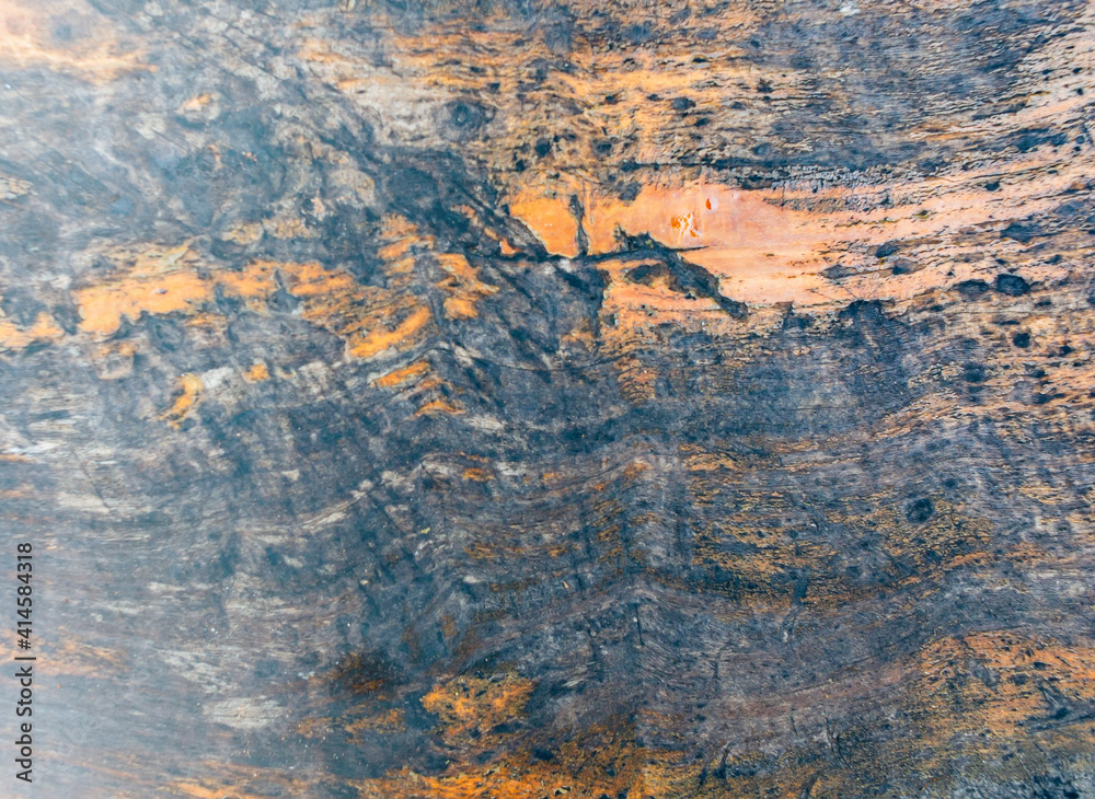 Wallpaper of wood planks with fungus. Causing strange patterns Wallpaper of wood planks with fungus. Causing strange patterns