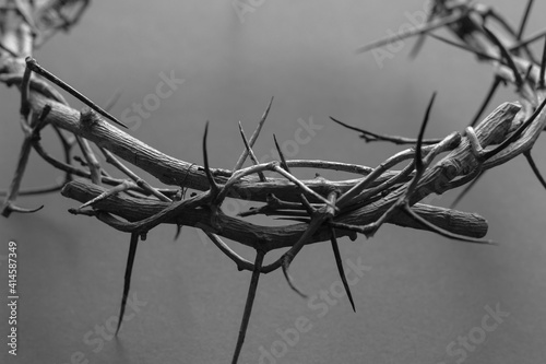 black and white crown of thorns photo
