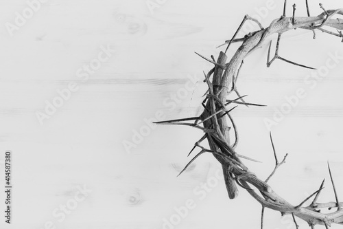 black and white crown of thorns