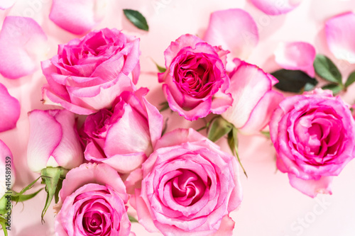 Pink roses