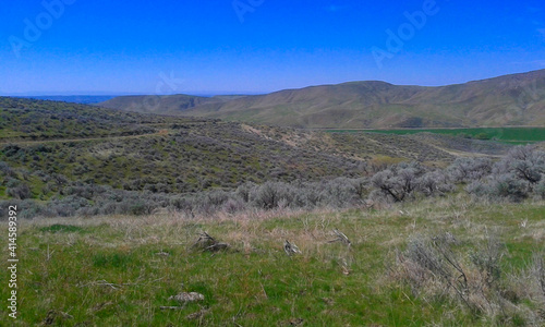 Landscape with Sage Brush and Hills in Background