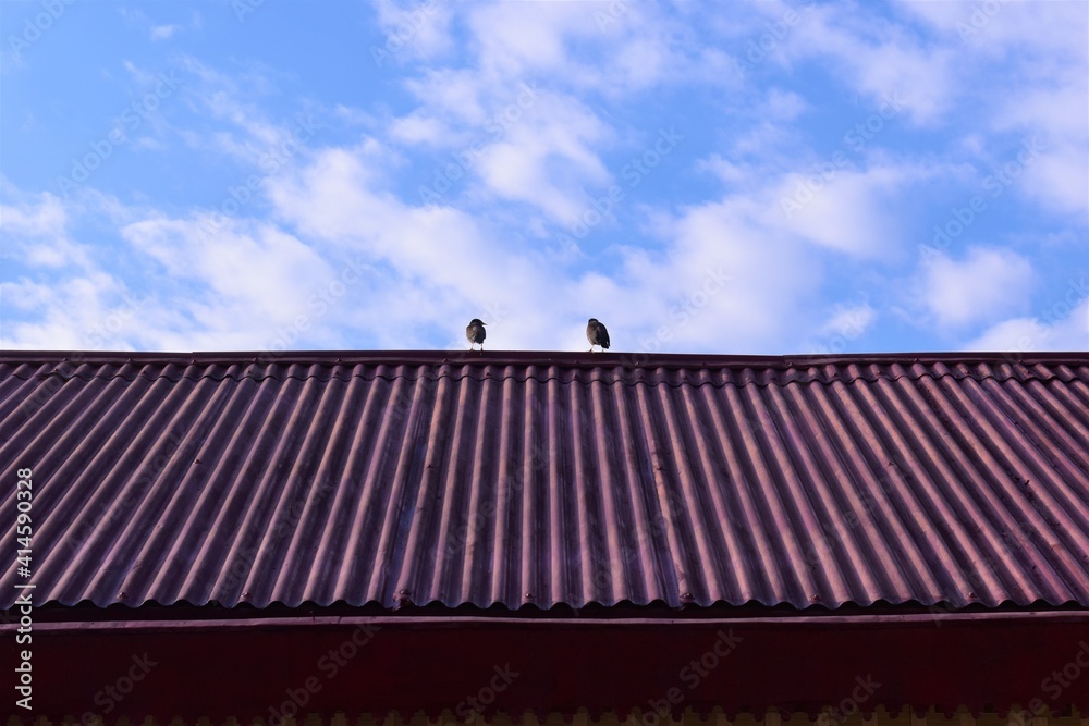 cloudy sky with two birds on rooftop background