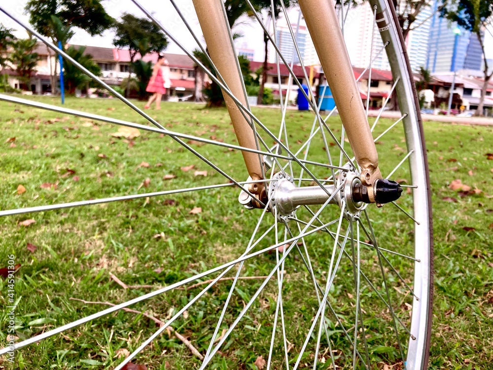 Scenery through bicycle wheel