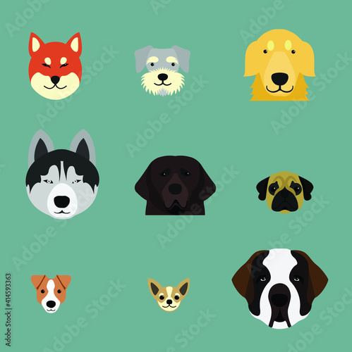 dog face portrait vector illustration