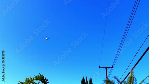 Helicopter circling over some palm trees and powerlines with no clouds. photo