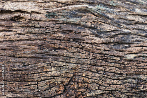 Old wood plank surface texture for background.