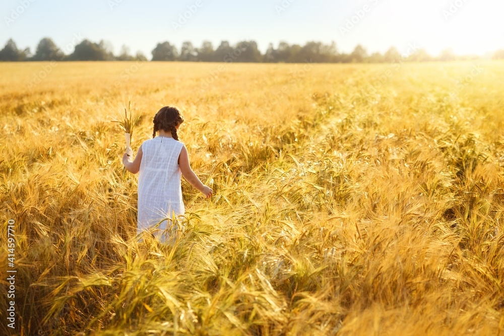 A girl in a white sundress stands with her back to the camera on a field of ripe wheat in the rays of the setting sun. Wheat ear. Rye ears. Selective focus. Setting sun. Walk in the rye field.