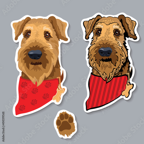 Dog breed Airedale terrier with bandana. Colorful sticker. Vector.