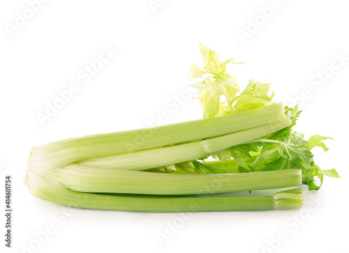 Fresh leaf celery isolated over a white background