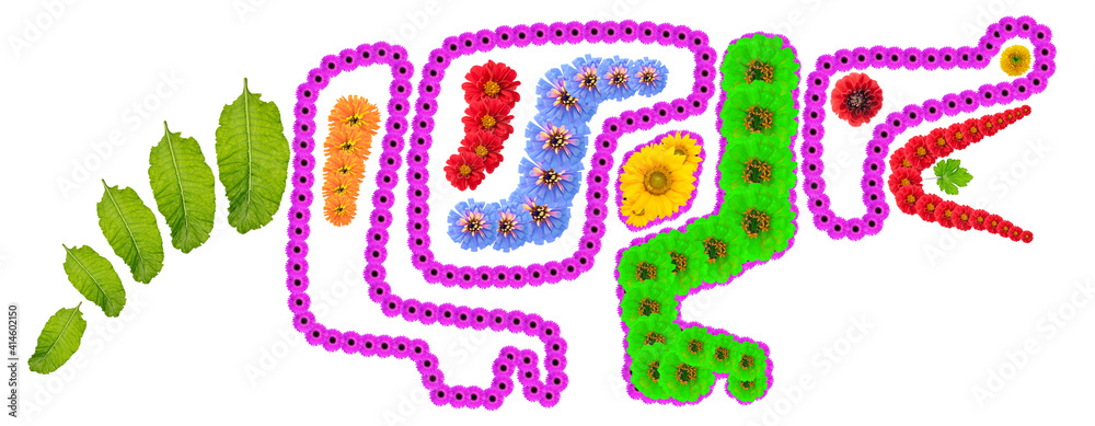 Obraz premium Native symbol of Danger like a crocodile made from flowers isolated