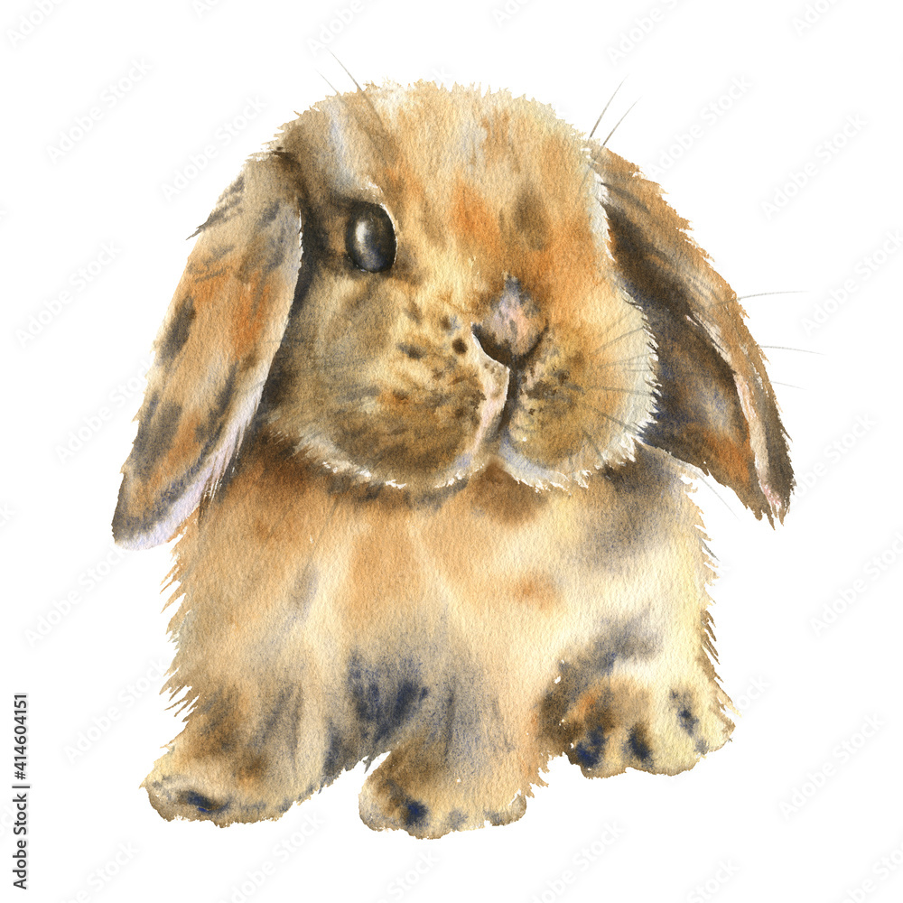 Watercolor bunny Illustration. Rabbit isolated on white background ...