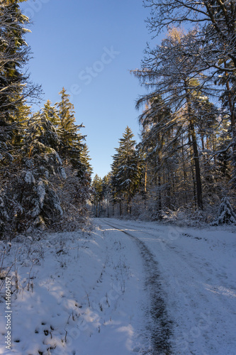 Wallpaper Mural Landschaft im Winter Torontodigital.ca