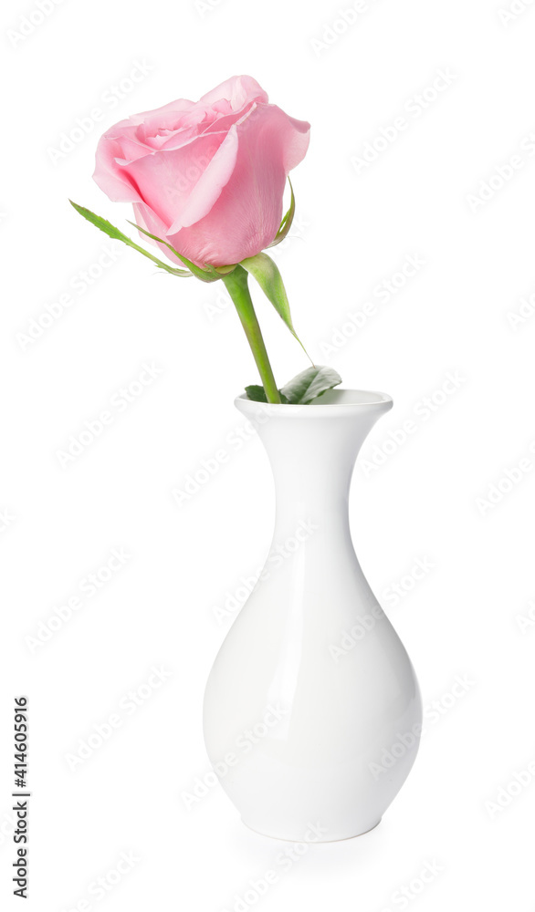 Fototapeta premium Beautiful pink rose in vase on white background