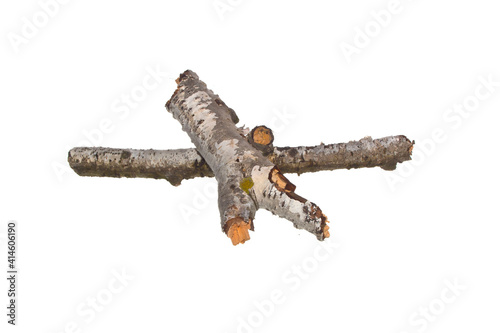 piece of branch isolated on white background