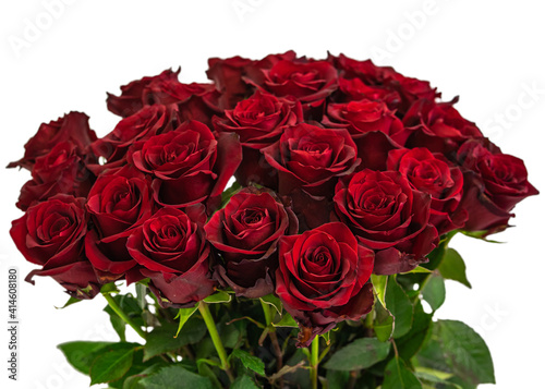 25 Explorer red roses