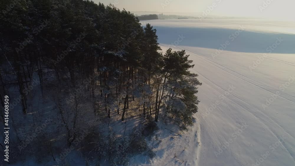 Winter pine forest among the fields in the evening sunset. Pine is covered with snow. Aerial view. Winter pine forest among the fields in the evening sunset. Pine is covered with snow. Aerial view.