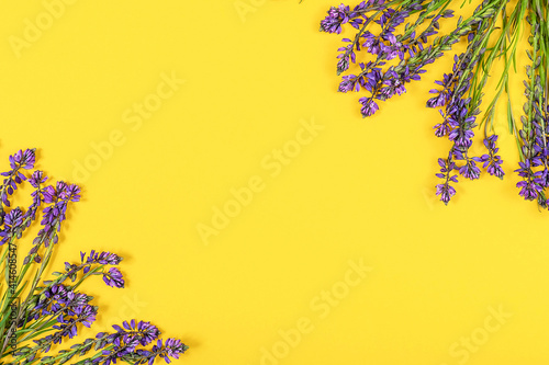 Frame made with purple flowers on yellow background. Concept Spring or Summer backdrop. Template for design, greeting card, invitation, postcard Flat Lay Top view Copy space