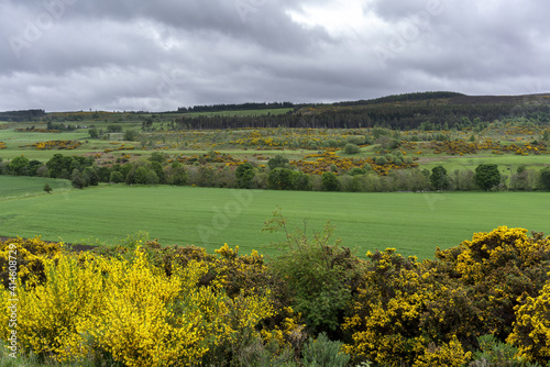 Beautiful scenery along the way from Inverness to Aviemore , Scotland