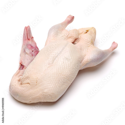 Raw duck isolated on white background